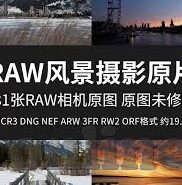 足球直播比分网址-解锁最佳观赛体验，足球直播比分网址全攻略与深度解析